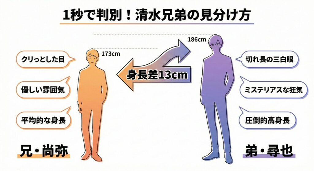 清水尚弥(173cm)と清水尋也(186cm)の身長差と顔の特徴を比較したイラスト