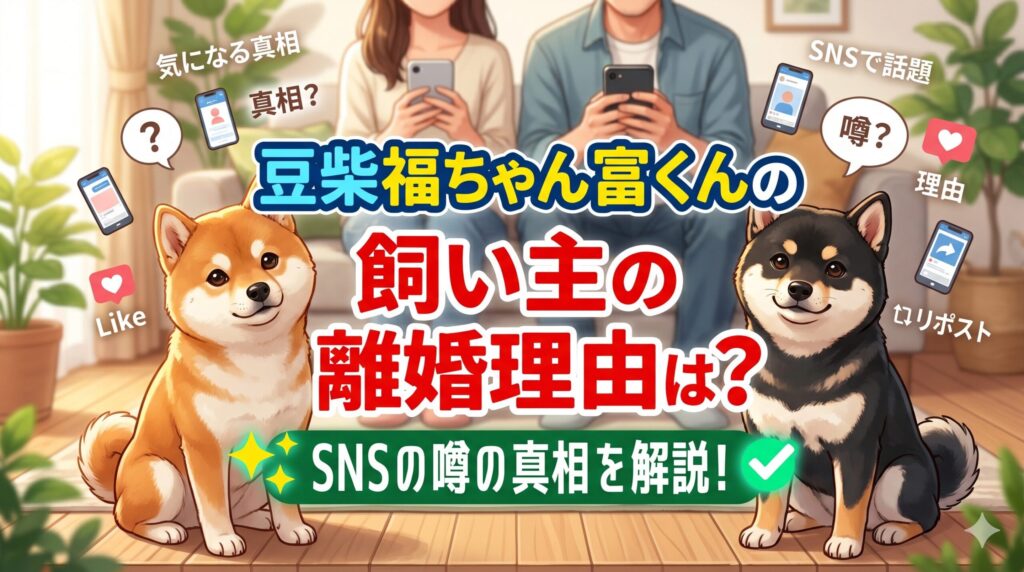 豆柴福ちゃん富くんの飼い主の離婚理由