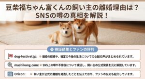 豆柴 福ちゃん富くん 離婚理由